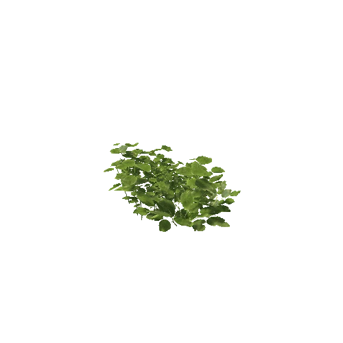 Plant 30_LOD_2